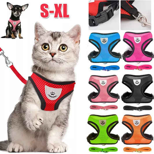 Cat Harness with Adjustable Vest