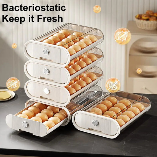 Transparent Egg Storage Box